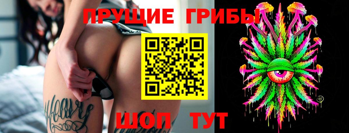 Псилоцибиновые грибы Psilocybe  Вход с VPN  Светлоград 